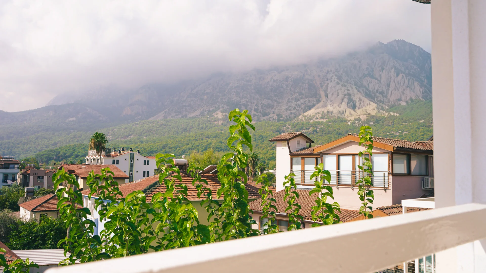 Kemer Hotel Moy Beldibi Hotel | Tesis Fotoğrafı (8/16)