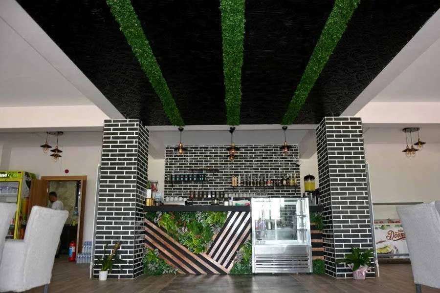 İzni̇k Hotel Antigonia Otel | Tesis Fotoğrafı (6/23)