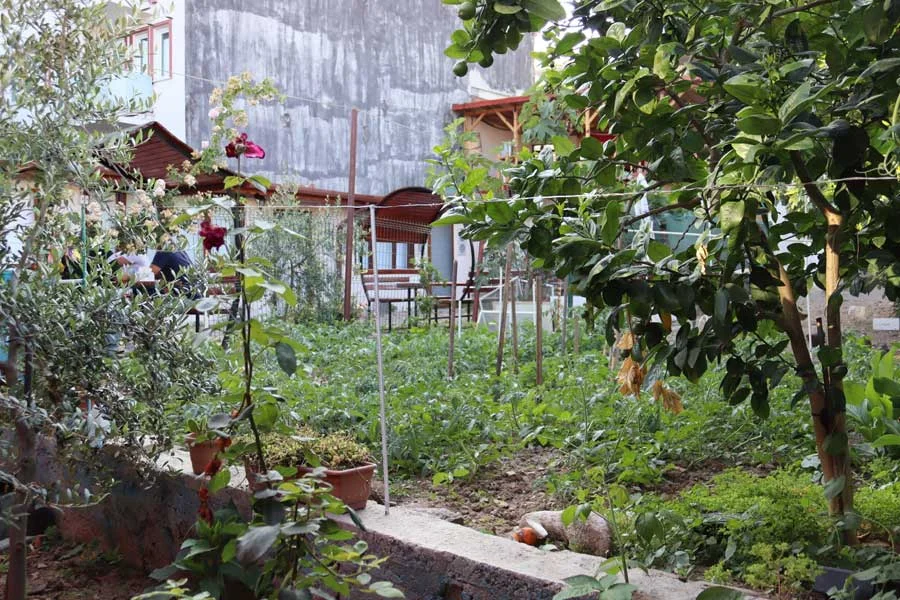 Mudanya Hotel Myrleia Antik Kent Öz Otel | Tesis Fotoğrafı (5/18)